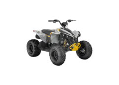 2025 Can-am Renegade EFI 110