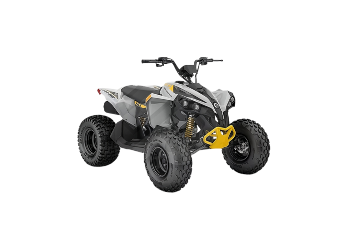 2025 Can-am Renegade EFI 110