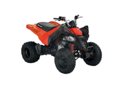 2025 Can-am DS STD 250