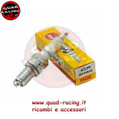candela ngk DCPR8E  per can Am