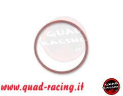 oring  coperchio filtro can am