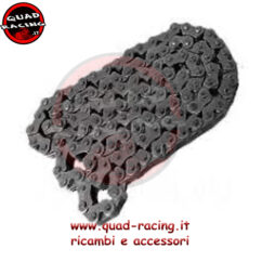 catena distribuzione CAN AM
escluso motore 850 e 1000