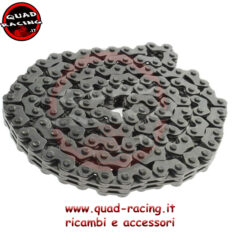 Catena distribuzione can am 1000