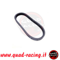Cinghia variatore Segway Vlillain/Fugleman
ORIGINALE
cod E02E10001001